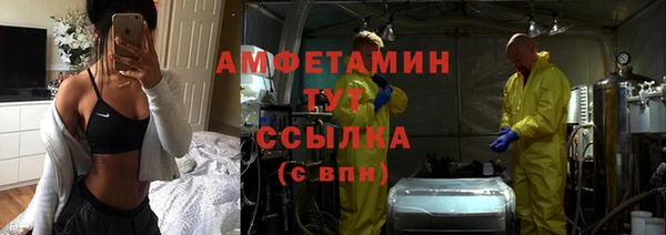 хмурый Абаза