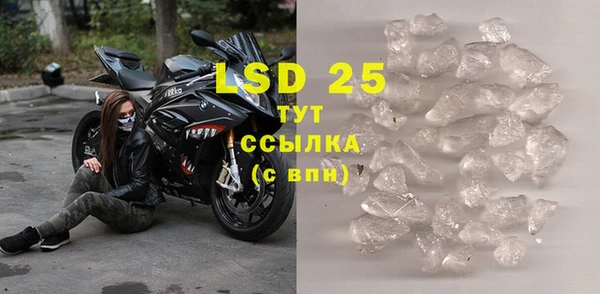 хмурый Абаза