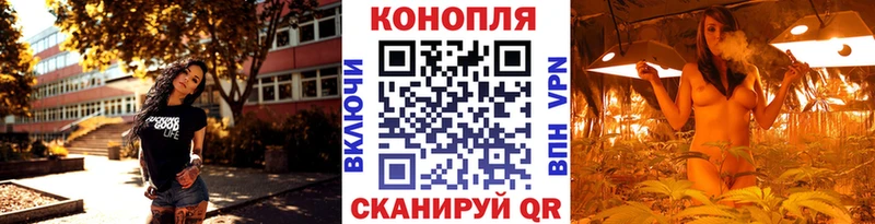маркетплейс какой сайт  купить  сайты  МЕГА сайт  Устюжна  Каннабис индика 